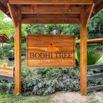 Bodhi Tree Yoga Resort 14