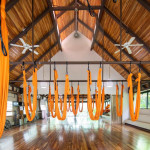 Bodhi Tree Yoga Resort 15