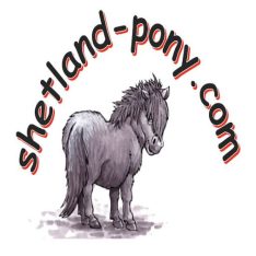shetland-pony.com