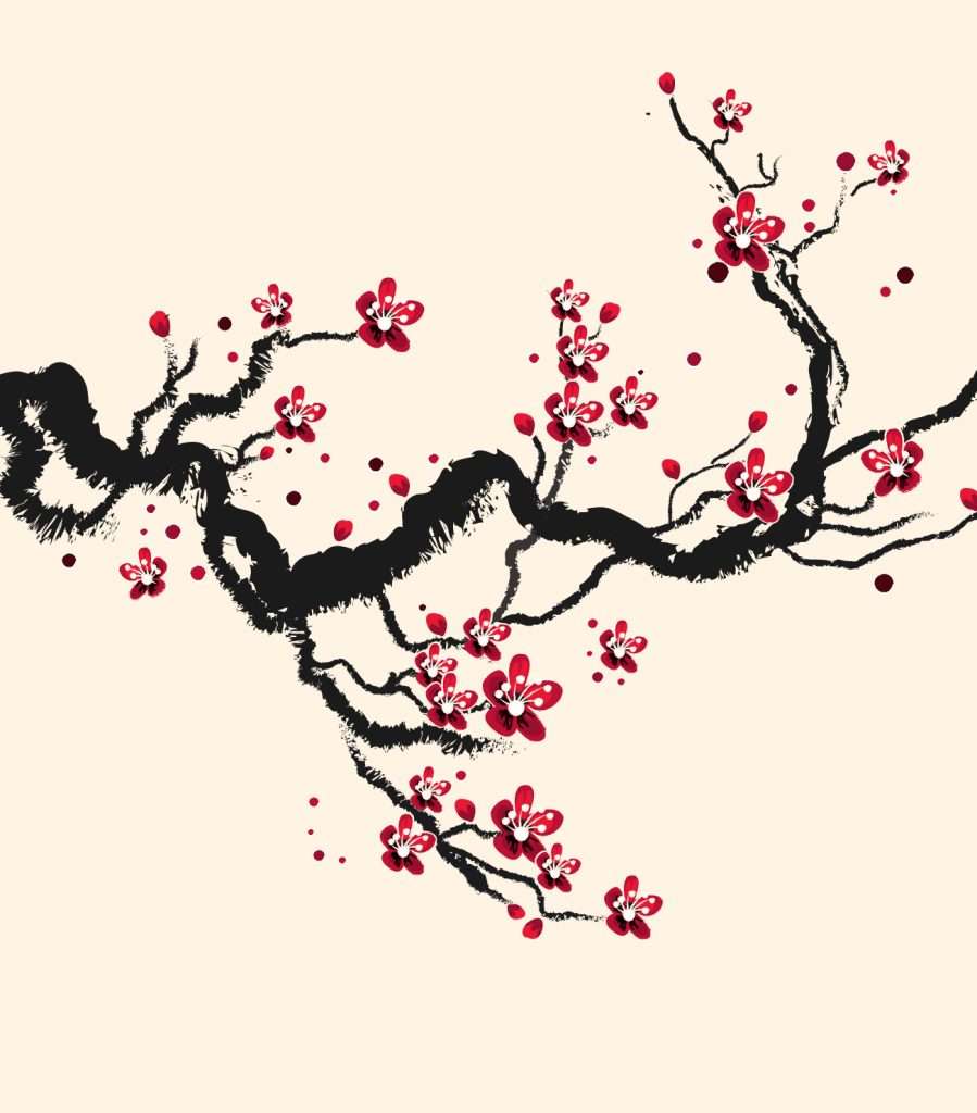 cherry blossom3-150-01