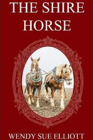 The Shire Horse by Wendy Sue Elliot