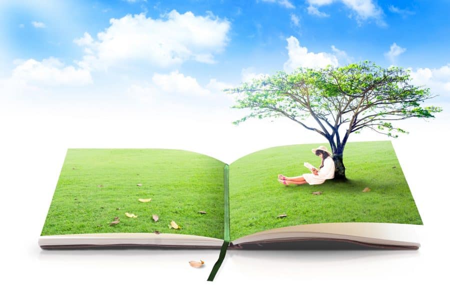 children's book
