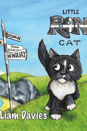 Little Ron Cat by Liam Davies