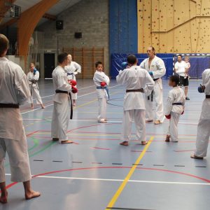 Stage d’été : niveau “avancés”