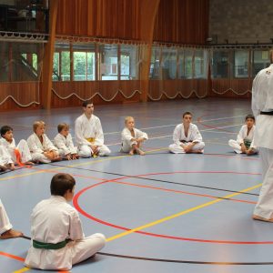 Stage d’été : niveau “débutants”