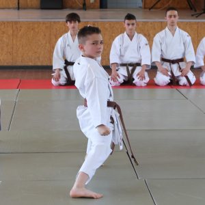 Cours de démonstration @ “Journée sportive”