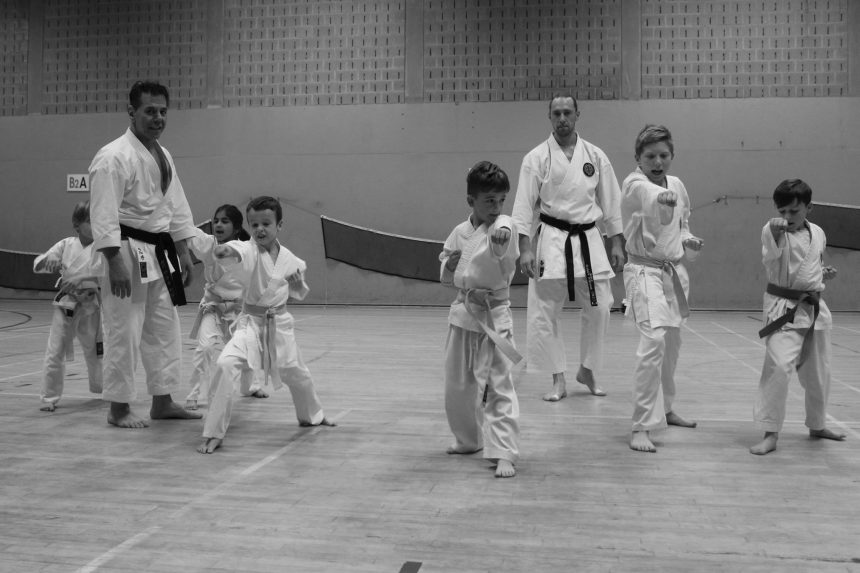 Stage sous la direction de Kyoshi Tanzadeh