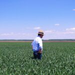 James Siggs in Wheat Farm