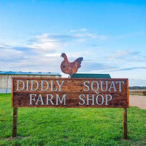 Jeremy Clarkson's Diddly Squat Farm Shop - Esus Agri Ltd