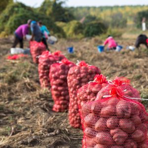 Farming and the UK Shortage Occupation List - Esus Agri Ltd