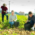 Farm staff shortage - Esus Agri Ltd