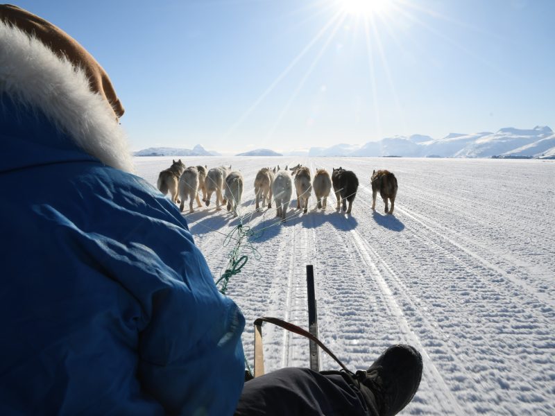 Fare above the arctic circle