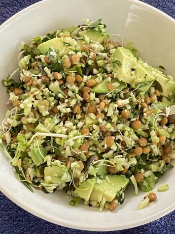 Broccoli-linzensalade met avocado en kiemgroenten