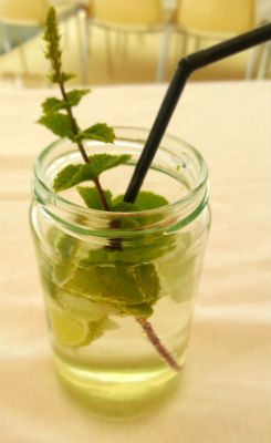 mojito