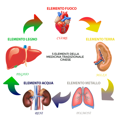 organi elementi