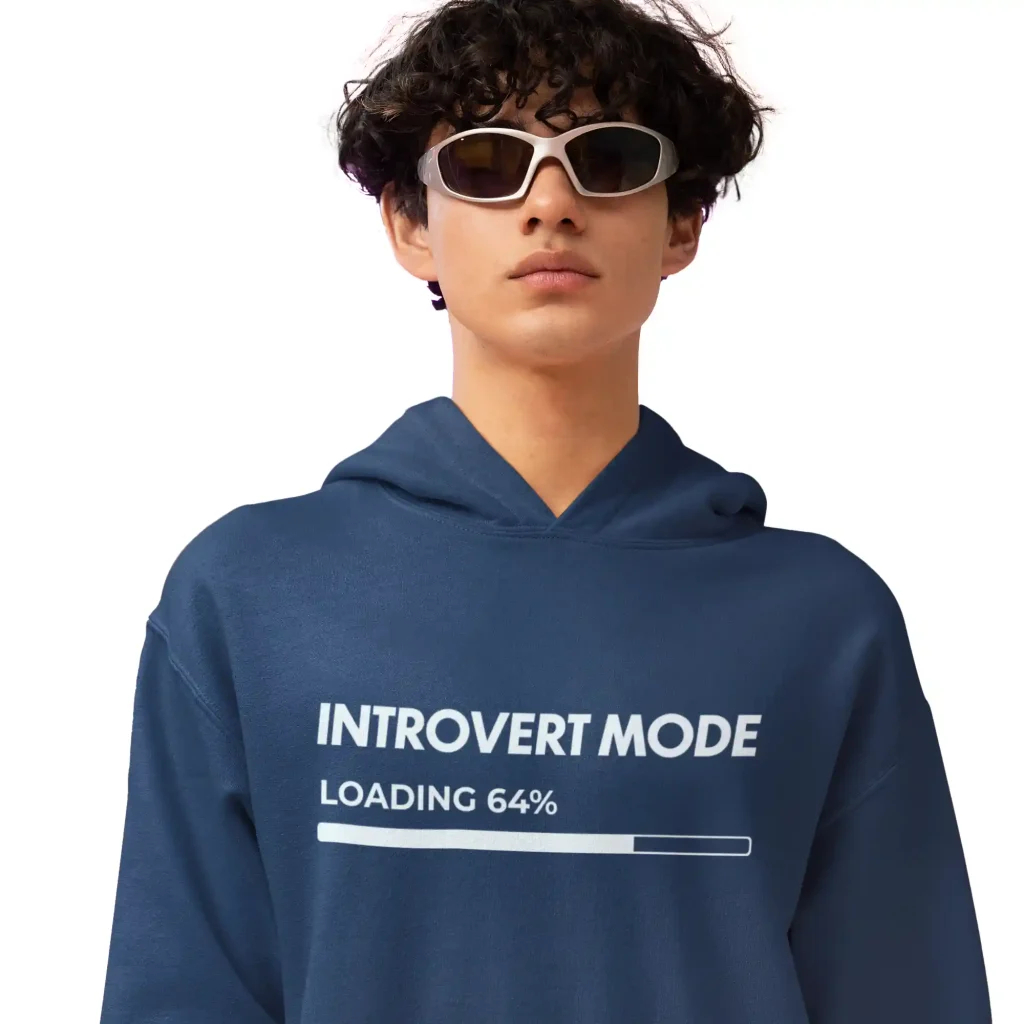 Introvert Mode hoodie product image