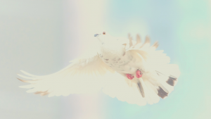 Thirty things the HolySpirit does for us