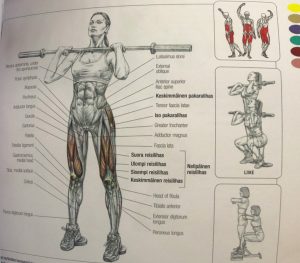 front squat