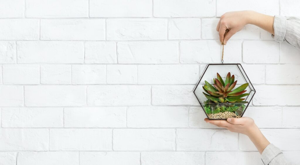 Mini glass florarium in woman's hands, copy space