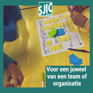 Voor een juweel van een team of organisatie
Wat kan SJIC Coaching voor jou betekenen?