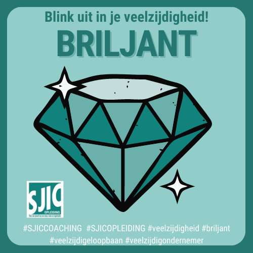 blink uit in veelzijdigheid