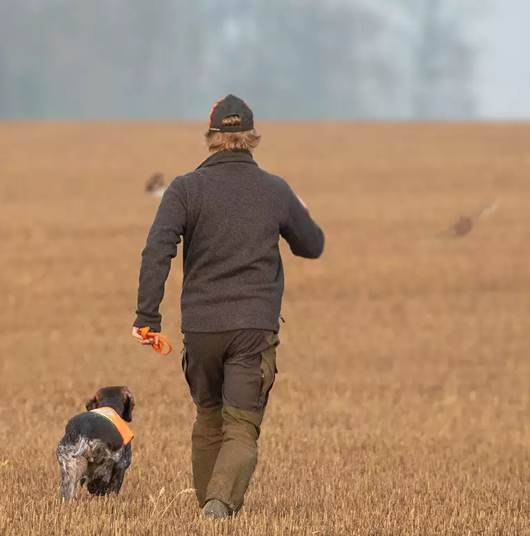 Markprøve ruhår hønsehund og fører