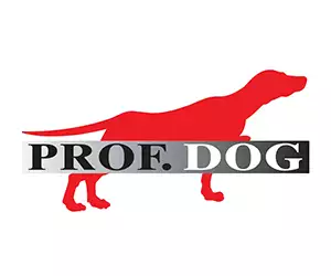 Prof dog