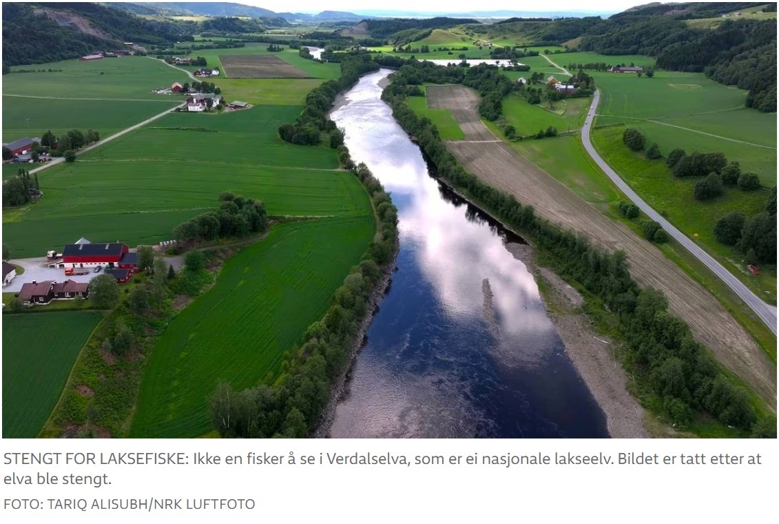 STENGT FOR LAKSEFISKE: Ikke en fisker å se i Verdalselva, som er ei nasjonale lakseelv. Bildet er tatt etter at elva ble stengt. FOTO: TARIQ ALISUBH/NRK LUFTFOTO