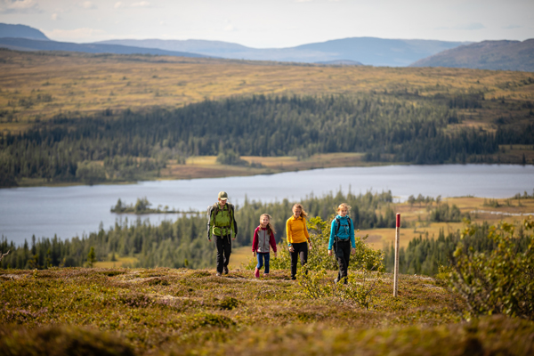 Snart dags för fjällsommar!