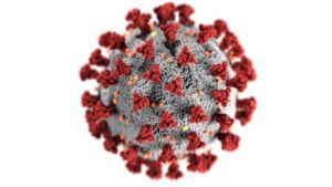 covid-19 corona virus