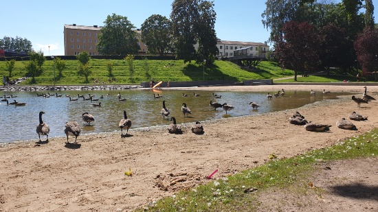 Boulognersjön i Skövde