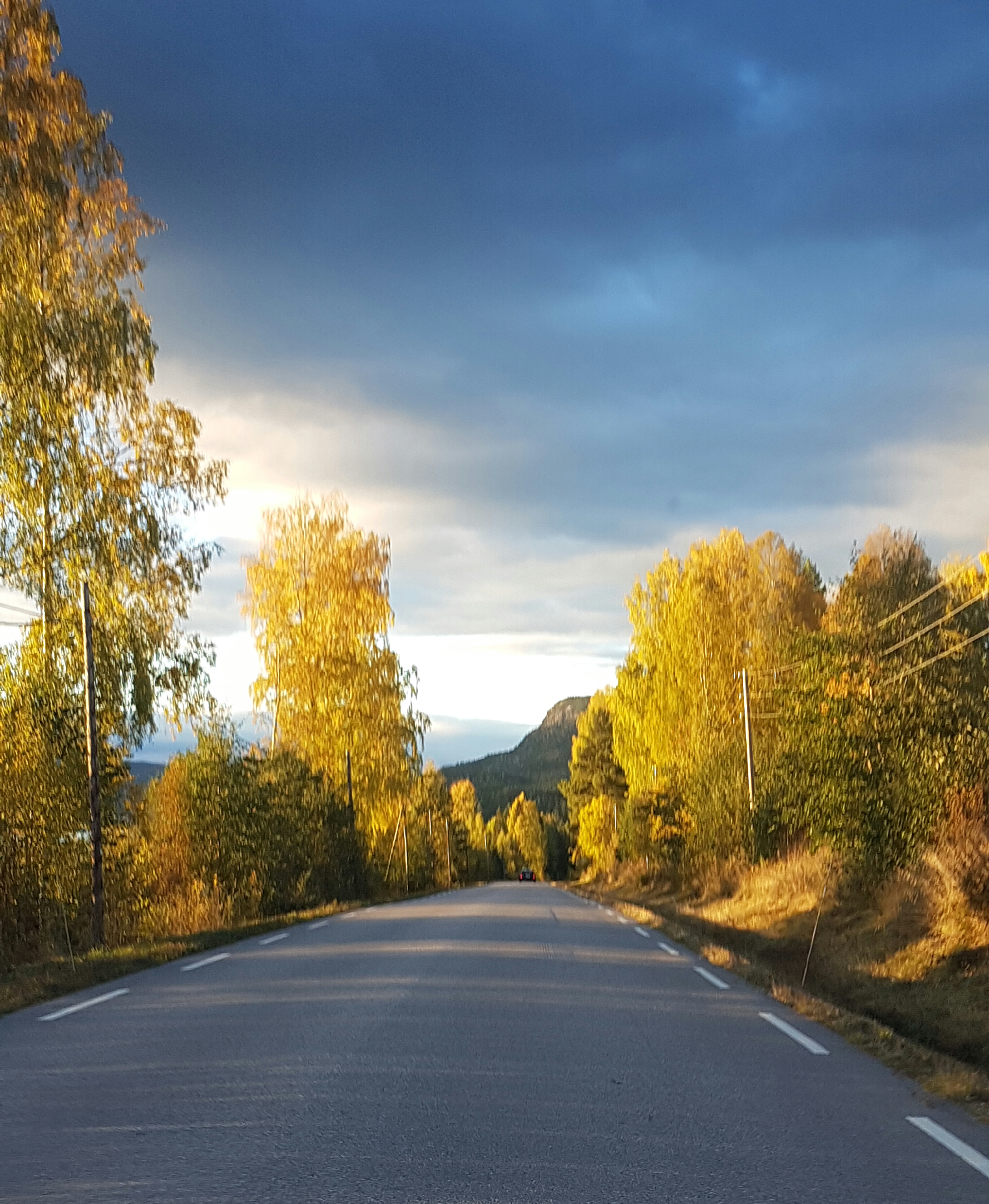 Høstens vakreste fargeeventyr til inspirasjon i hagen.