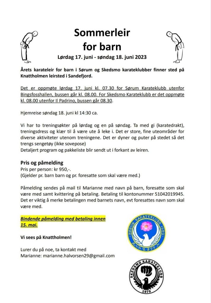 Sommerleir Karate Barn2023