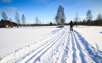Langrend i Sydsverige woman exercise by cross country skiing on a golf cource Getty Images/iStockphoto