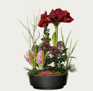 Stor, lyxig julgrupp med bl a vinröda amaryllis, rosa hyacinter och grönt. Önska God Jul med julblommor från Interflora*