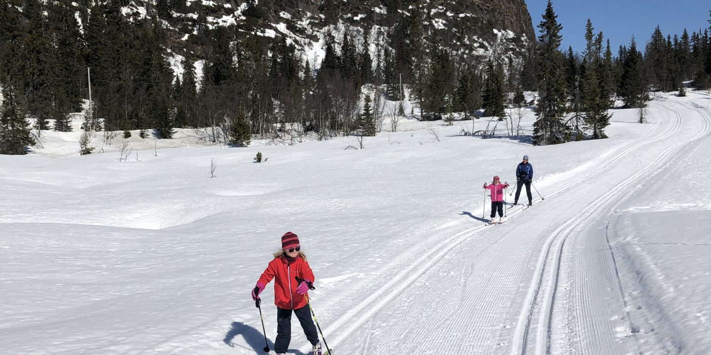 Family skiing