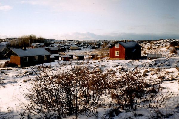 winter_houses
