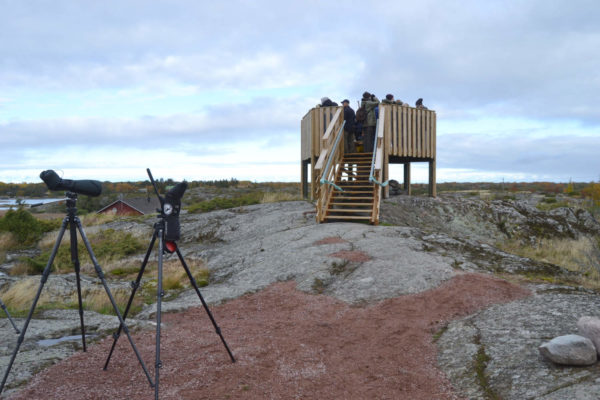 birdwatching_tower_4