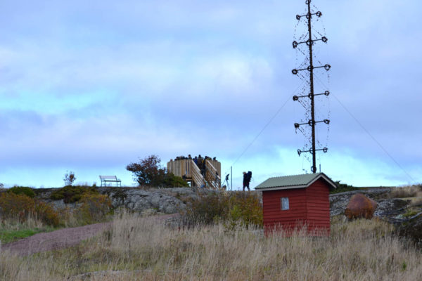 birdwatching_tower_5