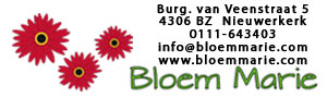 Bloem Marie