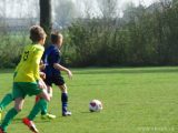 Jeugdwedstrijd sportpark 'Het Springer' van zaterdag 14 april 2018 (105/234)