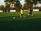 S.K.N.W.K. JO15-1 - Halsteren JO15-3 (competitie) seizoen 2018-2019 (najaar) (11/32)