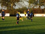 S.K.N.W.K. JO15-1 - Halsteren JO15-3 (competitie) seizoen 2018-2019 (najaar) (14/32)