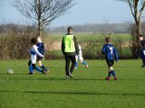 Jeugdwedstrijden sportpark ‘Het Springer’ van zaterdag 9 februari 2019 (42/260)