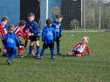 Jeugdwedstrijden sportpark ‘Het Springer’ van zaterdag 9 februari 2019 (170/260)