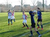 Jeugdwedstrijden sportpark ‘Het Springer’ van zaterdag 16 februari 2019 (30/191)