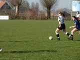 Jeugdwedstrijden sportpark ‘Het Springer’ van zaterdag 16 februari 2019 (162/191)