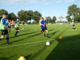 S.K.N.W.K. 1 - Bevelanders 1 (oefen) seizoen 2019-2020 (9/56)