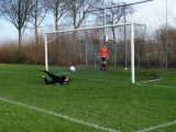 Training S.K.N.W.K. 1 van zaterdag 9 februari 2019 (81/128)