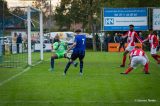 S.K.N.W.K. 1 - VC Vlissingen 1 (competitie) seizoen 2019-2020 - Fotoboek 2 (46/71)